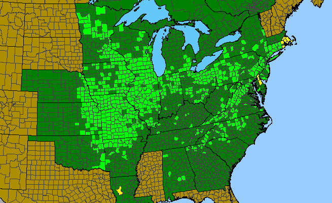 The range of Triosteum perfoliatum
